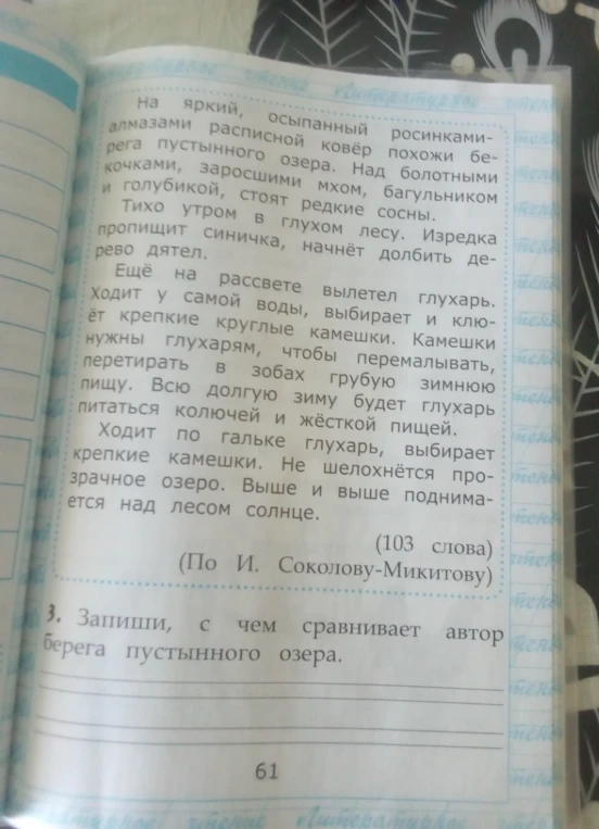 Запиши, с чем сравнивает автор берега пустынного озера.