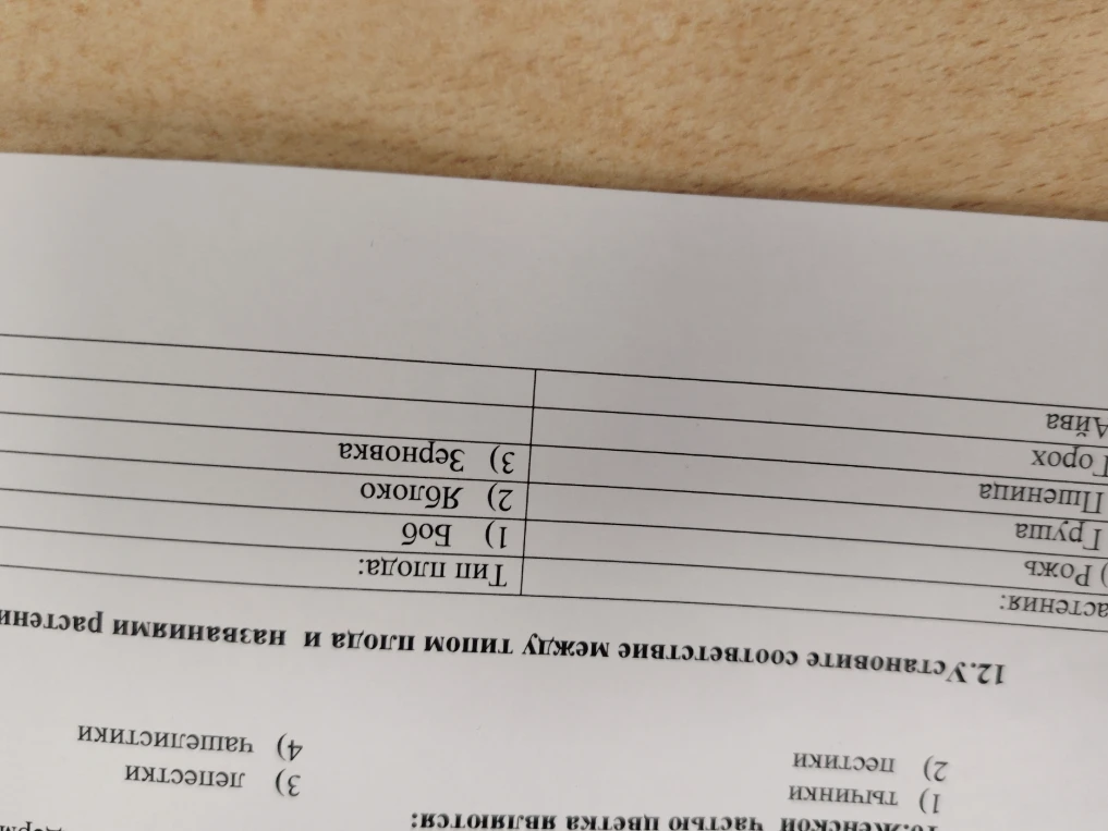 Установите соответствие между типом плода и названиями растений