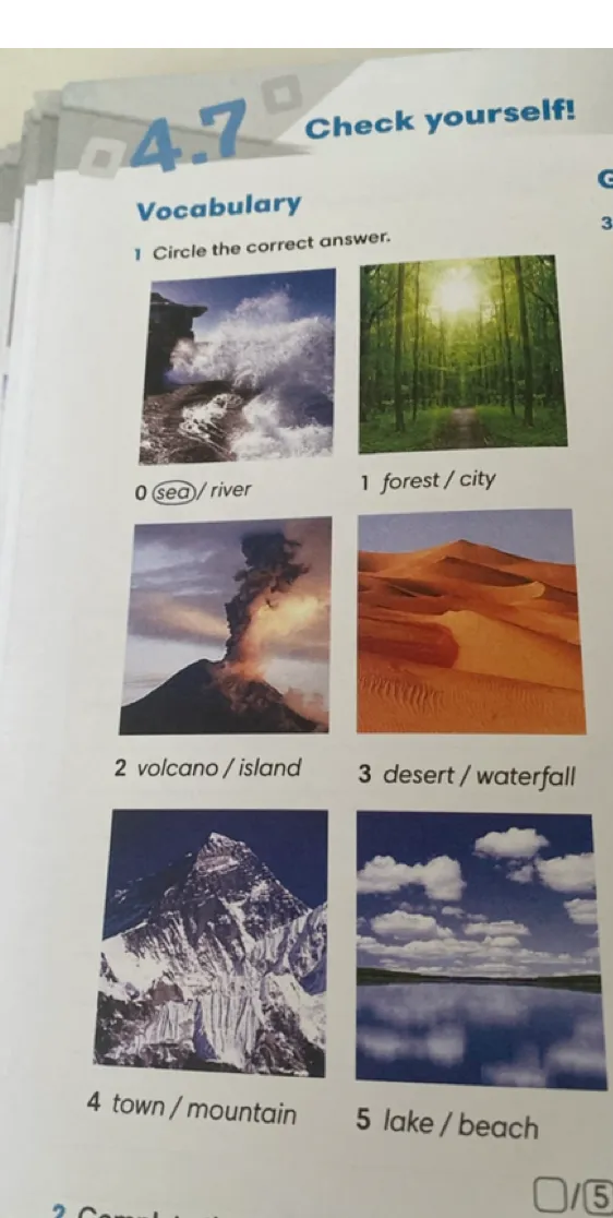 Circle the correct answer (Vocabulary: sea/river, forest/city, volcano/island, desert/waterfall, town/mountain, lake/beach)