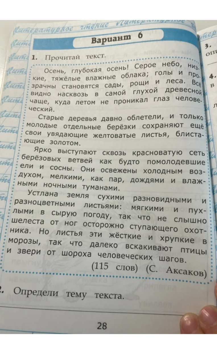 Определи тему текста.