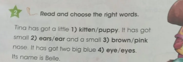 Read and choose the right words. Tina has got a little 1) kitten/puppy...