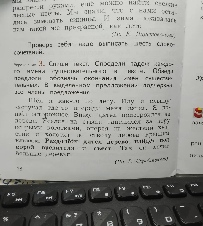 Спиши текст. Определи падеж каждого имени существительного в тексте. Обведи предлоги, обозначь окончания имён существительных. В выделенном предложении подчеркни все члены предложения.