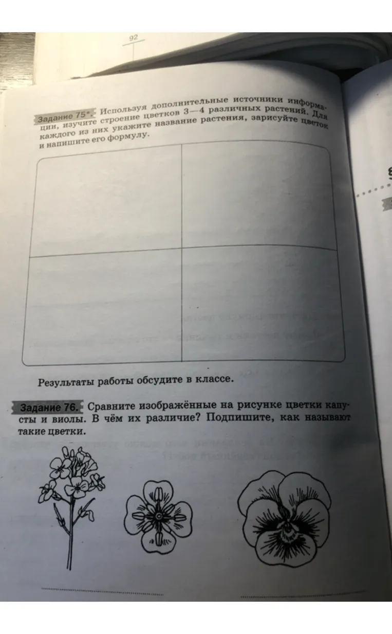 Сравните изображённые на рисунке цветки капусты и виолы. В чём их различие? Подпишите, как называют такие цветки.