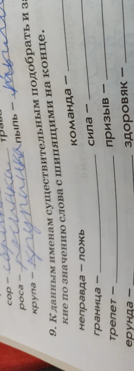 К данным именам существительным подобрать и записать близкие по значению слова с шипящими на конце.