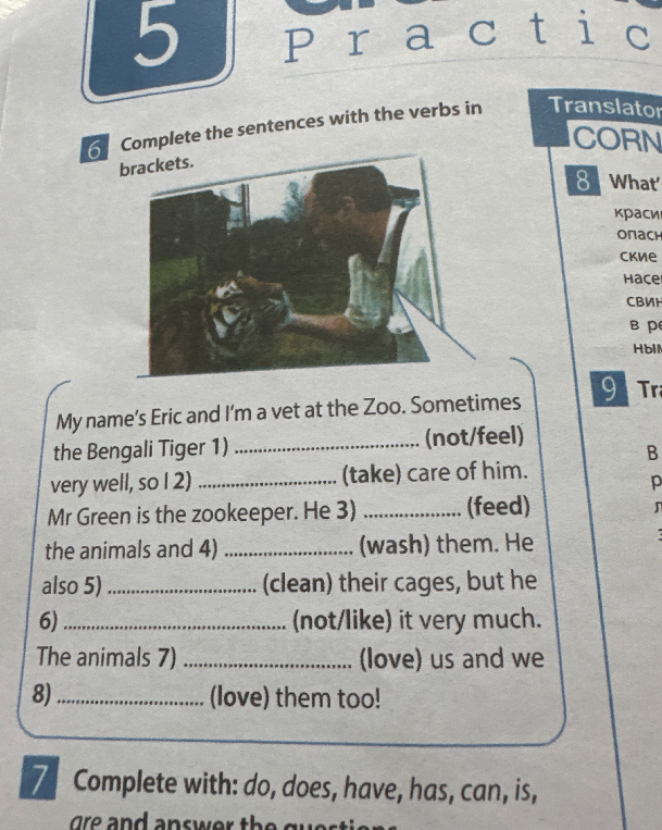 Complete the sentences with the verbs in brackets.