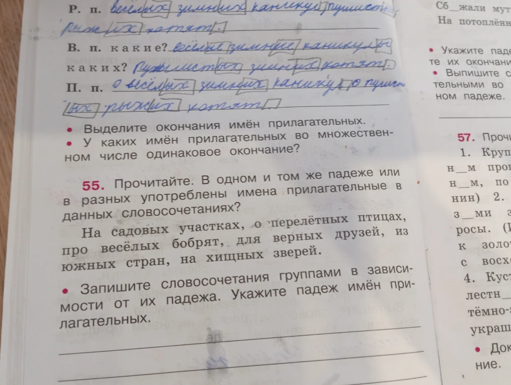 Прочитайте. В одном и том же падеже или в разных употреблены имена прилагательные в данных словосочетаниях? Запишите словосочетания группами в зависимости от их падежа.