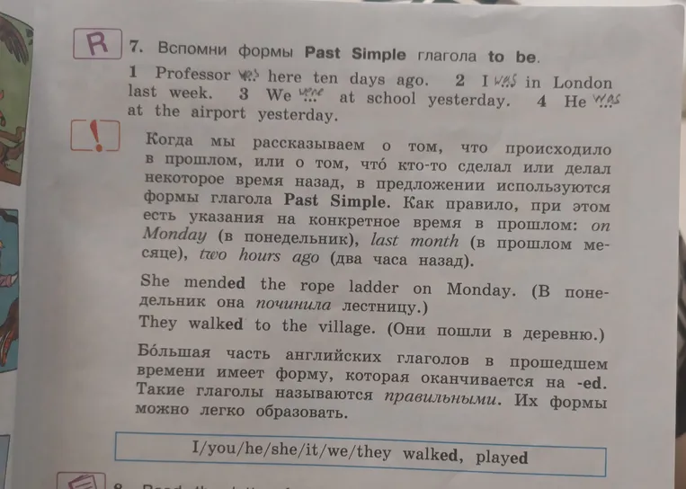 7. Вспомни формы Past Simple глагола to be.