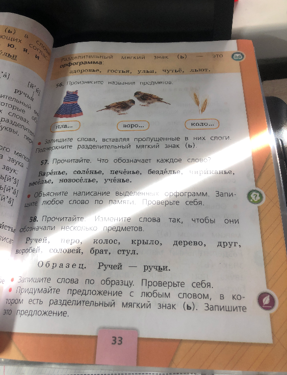 Запишите слова, вставляя пропущенные в них слоги. Подчеркните разделительный мягкий знак (ь). Прочитайте. Измените слова так, чтобы они обозначали несколько предметов.