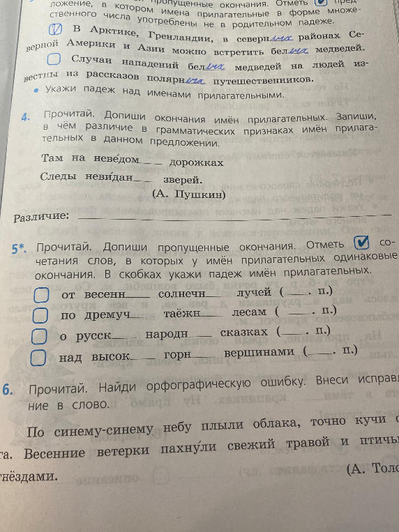 Прочитай. Допиши окончания имён прилагательных. Запиши, в чём различие в грамматических признаках имён прилагательных в данном предложении. Прочитай. Найди орфографическую ошибку. Внеси исправление в слово.