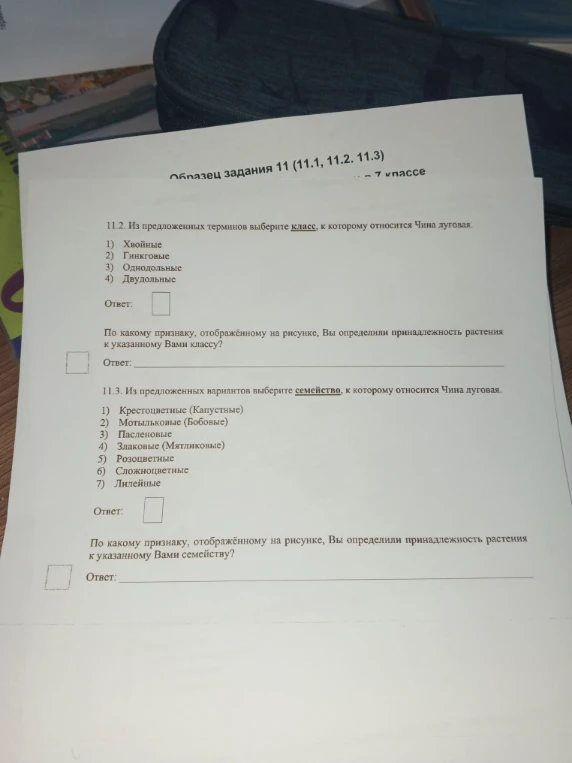Из предложенных терминов выберите класс, к которому относится Чина луговая.