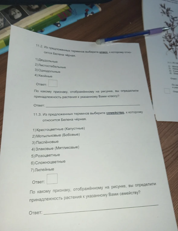 11.2. Из предложенных терминов выберите класс, к которому относится Белена чёрная.
