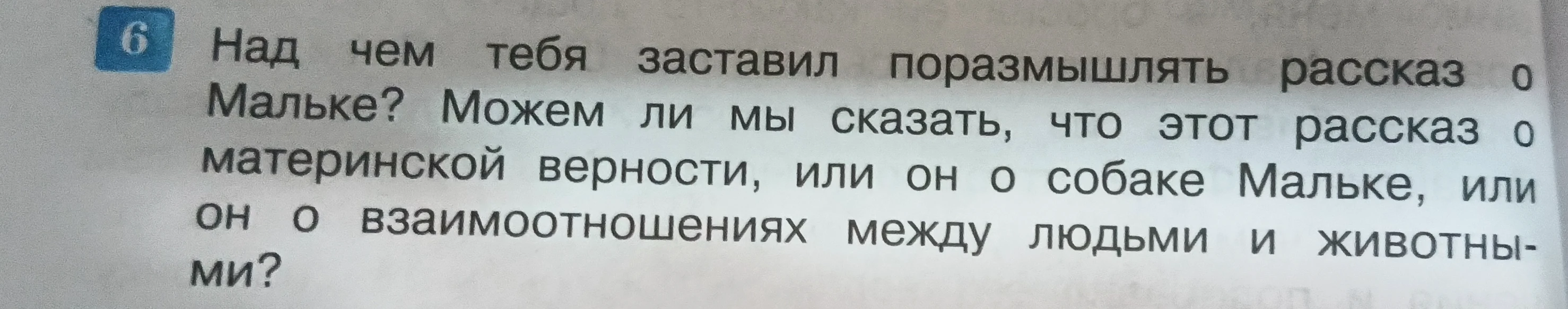 Над чем тебя заставил поразмышлять рассказ о Мальке? Можем ли мы сказать, что этот рассказ о материнской верности, или он о собаке Мальке, или он о взаимоотношениях между людьми и животными?
