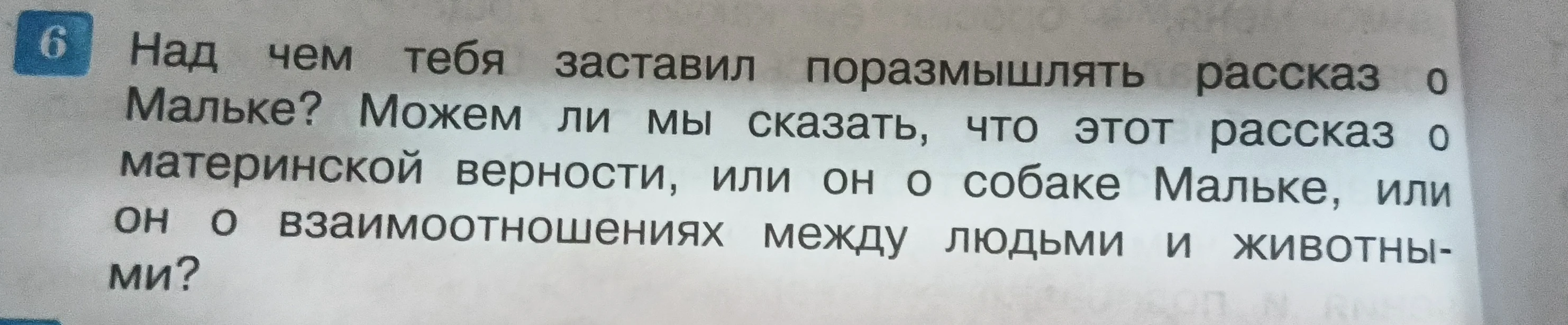 Над чем тебя заставил поразмышлять рассказ о Мальке? Можем ли мы сказать, что этот рассказ о материнской верности, или он о собаке Мальке, или он о взаимоотношениях между людьми и животными?