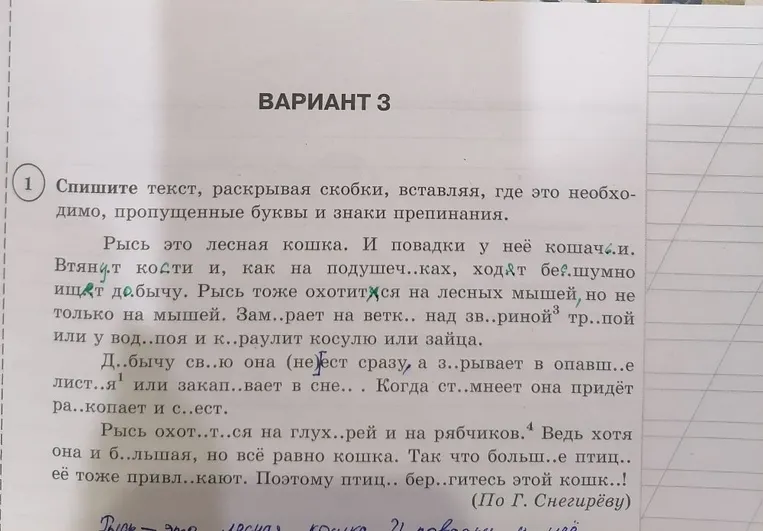 Спишите текст, раскрывая скобки, вставляя, где это необходимо, пропущенные буквы и знаки препинания.