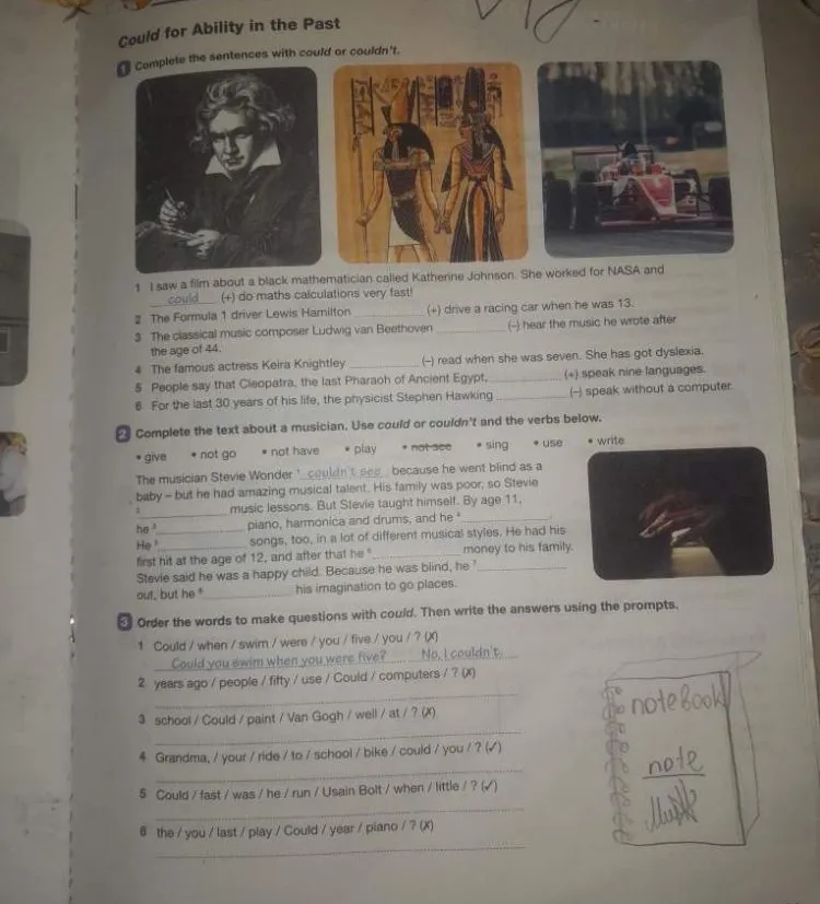 Complete the sentences with could or couldn't; Complete the text about a musician; Order the words to make questions with could.