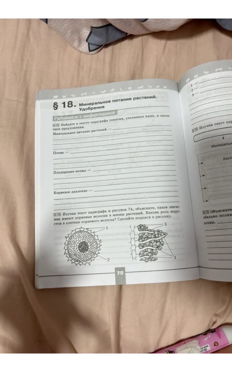 Найдите в тексте параграфа понятия, указанные ниже, и закончите предложения. Минеральное питание растений... Почва... Плодородие почвы... Корневое давление... Изучив текст параграфа и рисунок 74, объясните, какое значение имеют корневые волоски в жизни растений. Какова роль выростов в клетках корневого волоска? Сделайте подписи к рисунку.