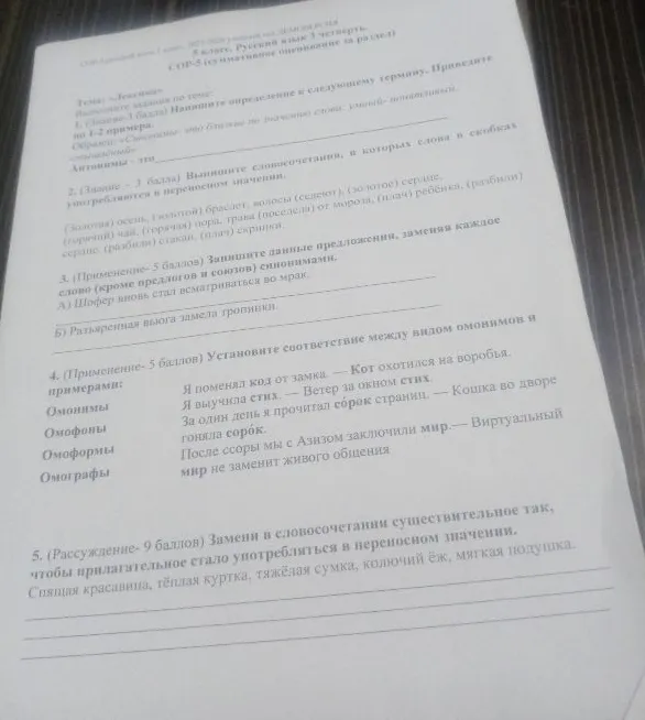 Выполните задания по теме: Лексика. Напишите определение к термину Антонимы. Выпишите словосочетания в переносном значении. Замените слова синонимами. Установите соответствие между видами омонимов. Замените существительное так, чтобы прилагательное было в переносном значении.