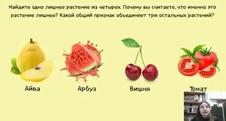 Найдите одно лишнее растение из четырех. Почему вы считаете, что именно это растение лишнее? Какой общий признак объединяет три остальных растений?