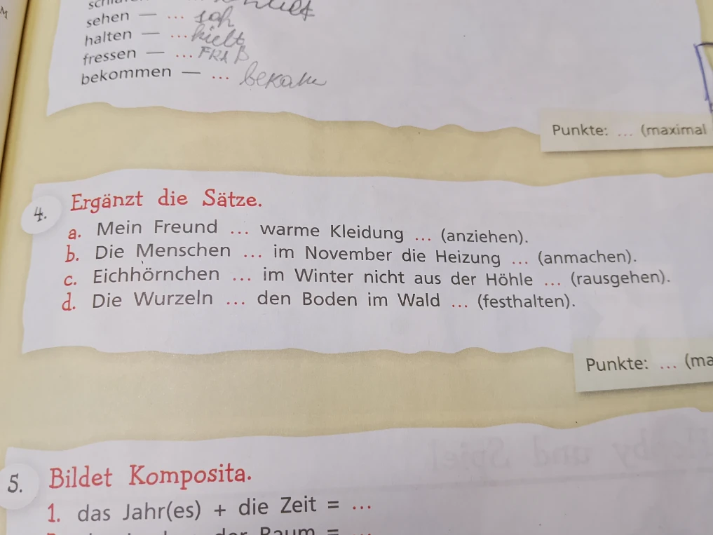 Ergänzt die Sätze. a. Mein Freund ... warme Kleidung ... (anziehen).
