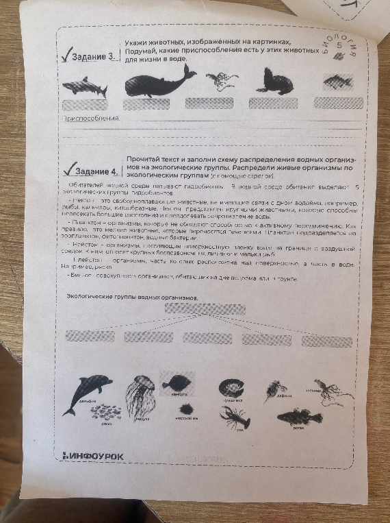 Укажи животных, изображенных на картинках. Подумай, какие приспособления есть у этих животных для жизни в воде. Прочитай текст и заполни схему распределения водных организмов на экологические группы.