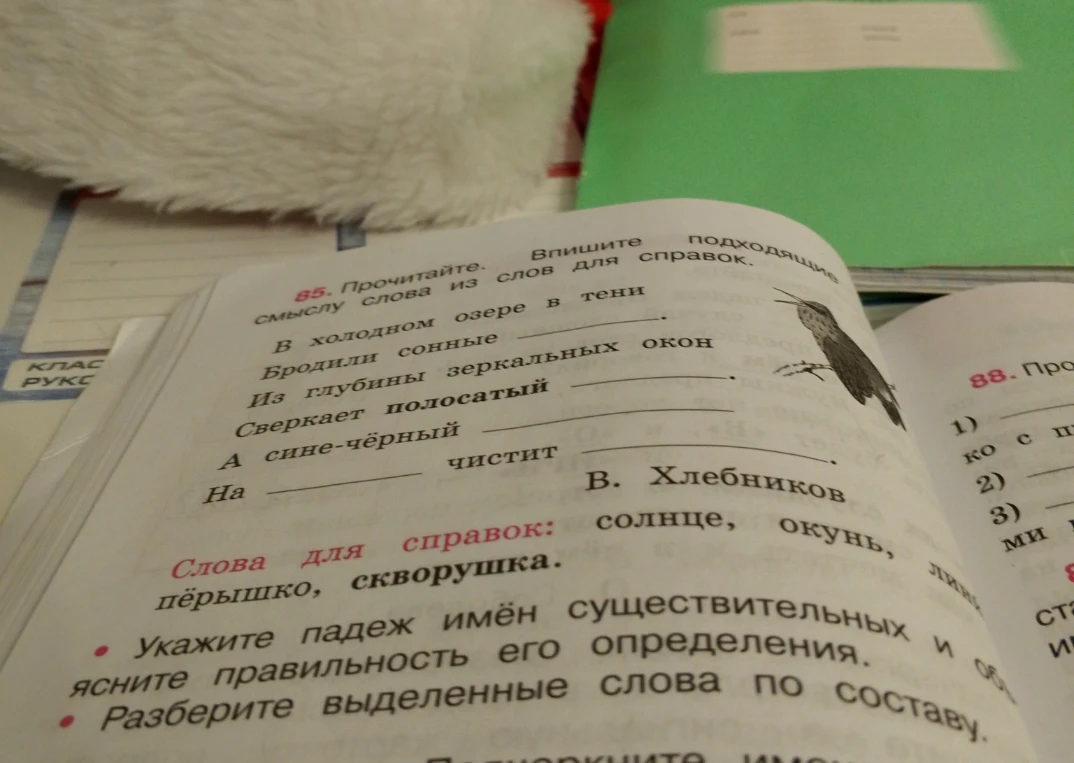 Прочитайте. Впишите подходящие по смыслу слова из слов для справок.