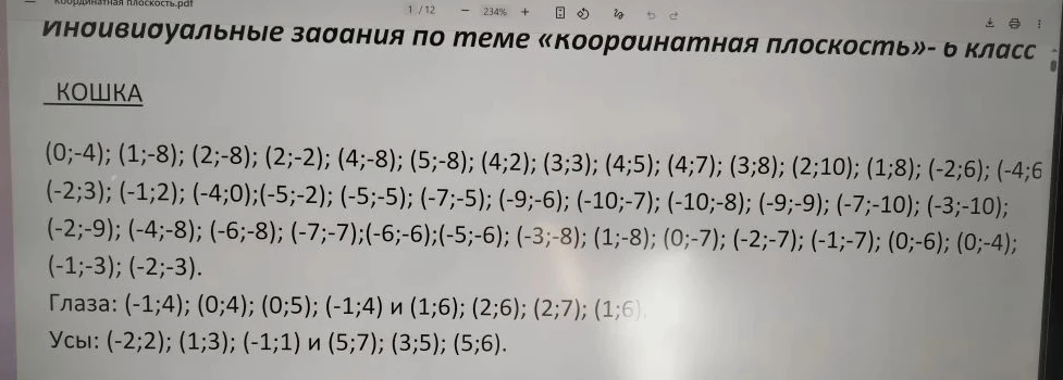 Индивидуальные задания по теме «Координатная плоскость» - 6 класс. КОШКА.