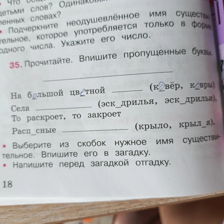 Прочитайте. Впишите пропущенные буквы. Выберите из скобок нужное имя существительное. Впишите его в загадку. Напишите перед загадкой отгадку.