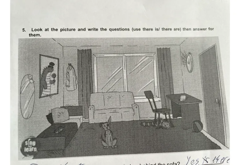 Look at the picture and write the questions (use there is/ there are) then answer for them.