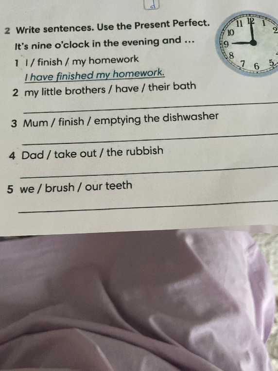 Write sentences. Use the Present Perfect.