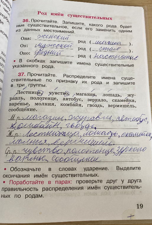 Распределите имена существительные по признаку их рода и запишите в три группы.