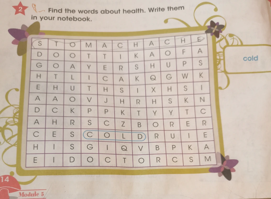 Find the words about health. Write them in your notebook.
