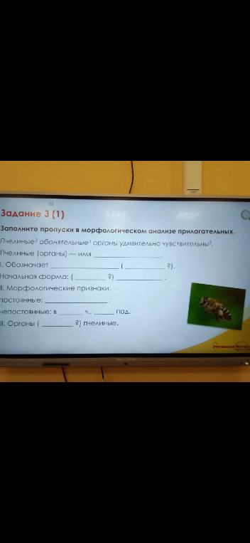 Заполните пропуски в морфологическом анализе прилагательных: Пчелиные (органы) — имя ...