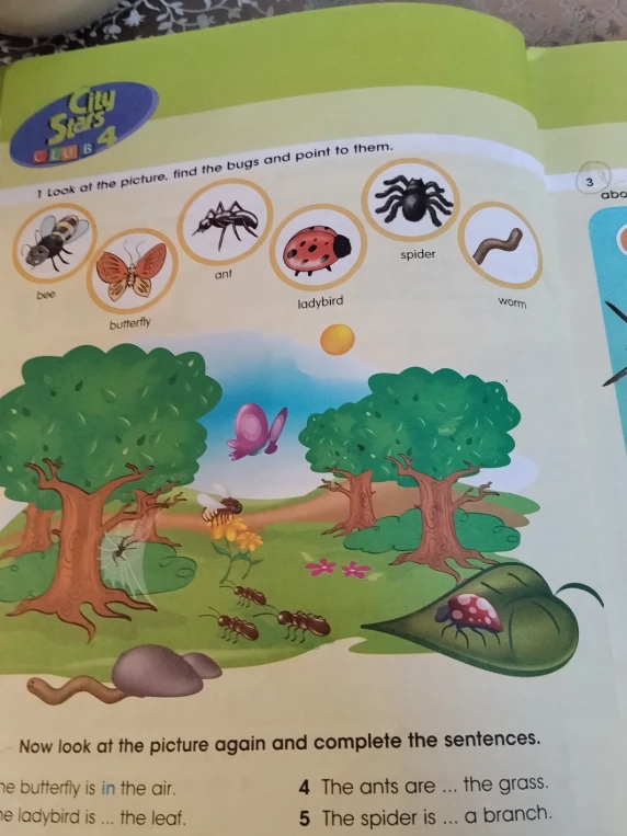 Now look at the picture again and complete the sentences.