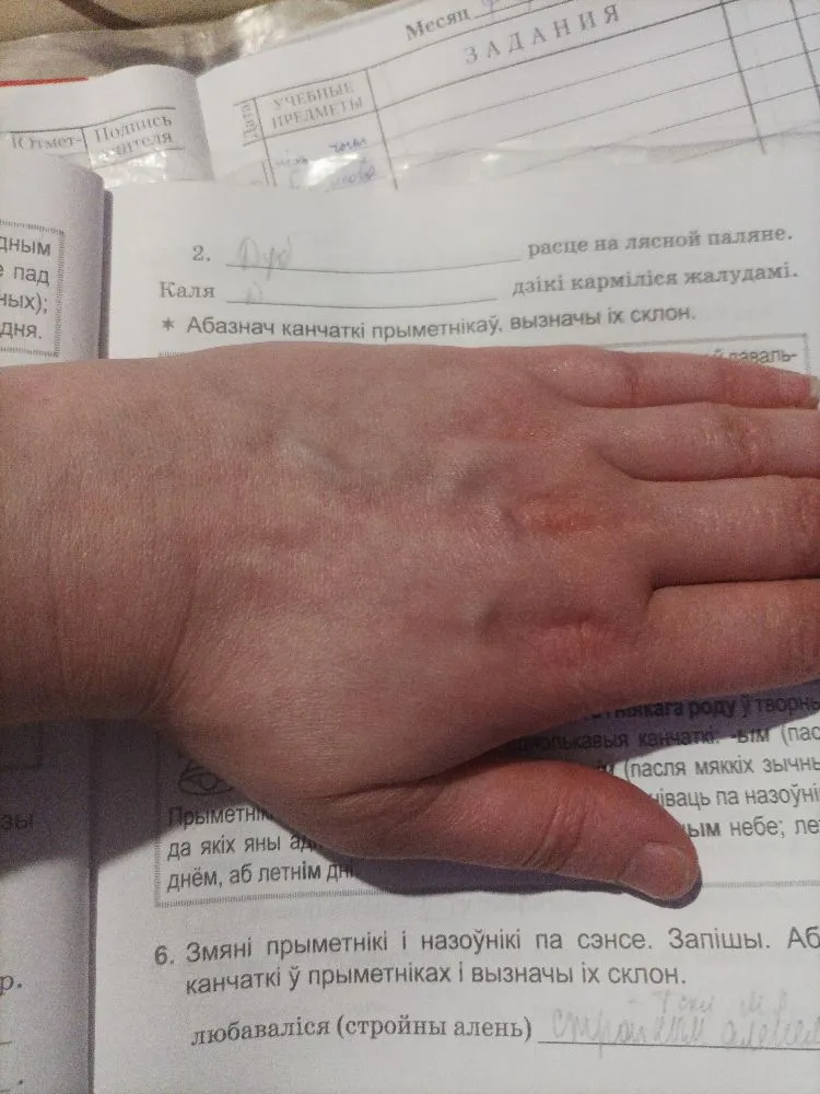 Абазнач канчаткі прыметнікаў, вызначы іх склон.