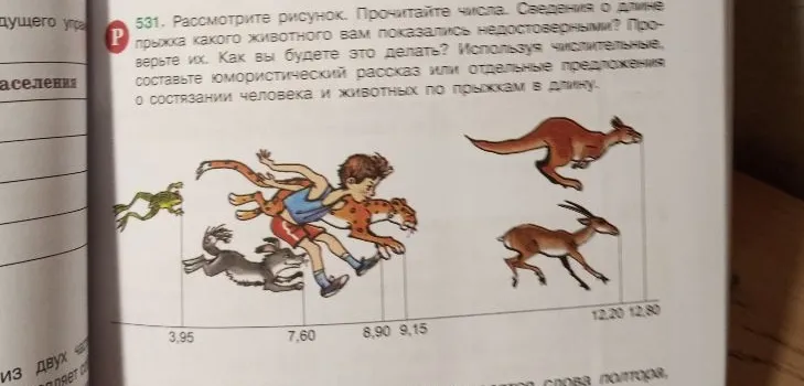 531. Рассмотрите рисунок. Прочитайте числа. Сведения о длине прыжка какого животного вам показались недостоверными? Проверьте их.
