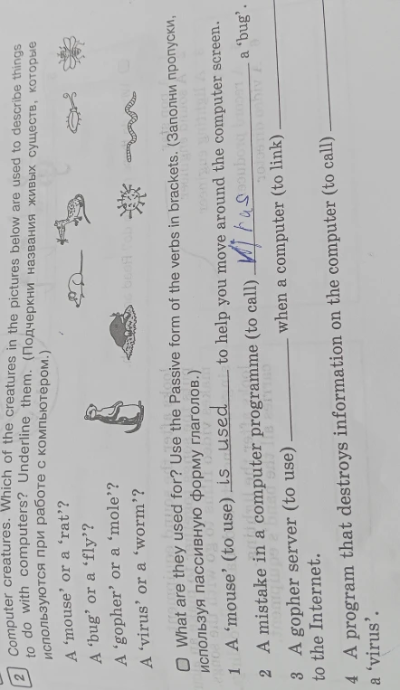 Computer creatures. Which of the creatures in the pictures below are used to describe things to do with computers? Underline them. What are they used for? Use the Passive form of the verbs in brackets.