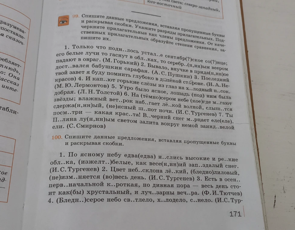 Спишите данные предложения, вставляя пропущенные буквы и раскрывая скобки. Укажите разряды прилагательных.