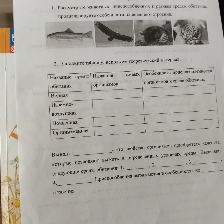Рассмотрите животных, приспособленных к разным средам обитания, проанализируйте особенности их внешнего строения. Заполните таблицу и напишите вывод.