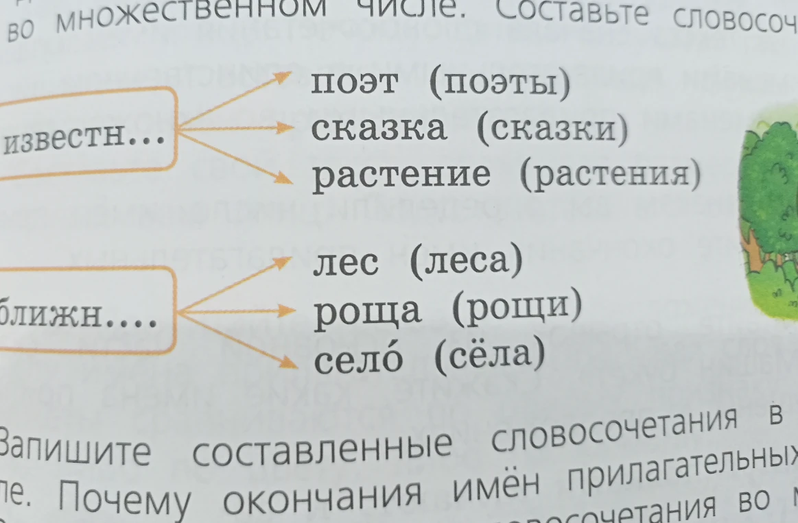 Запишите составленные словосочетания во множественном числе. Почему окончания имён прилагательных одинаковые?