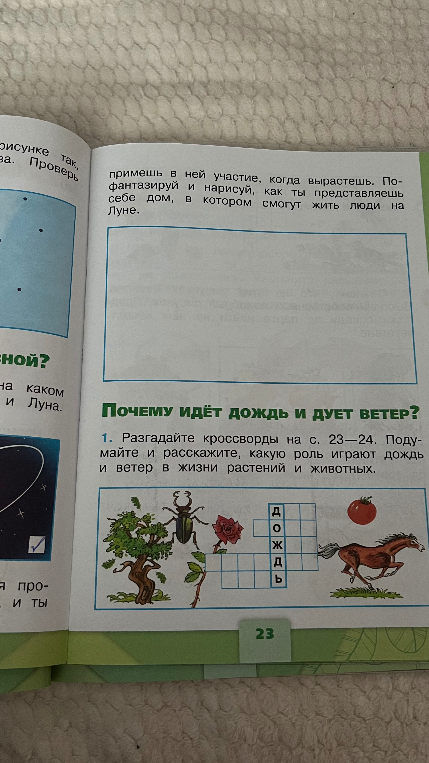 Разгадайте кроссворды на с. 23—24. Подумайте и расскажите, какую роль играют дождь и ветер в жизни растений и животных.
