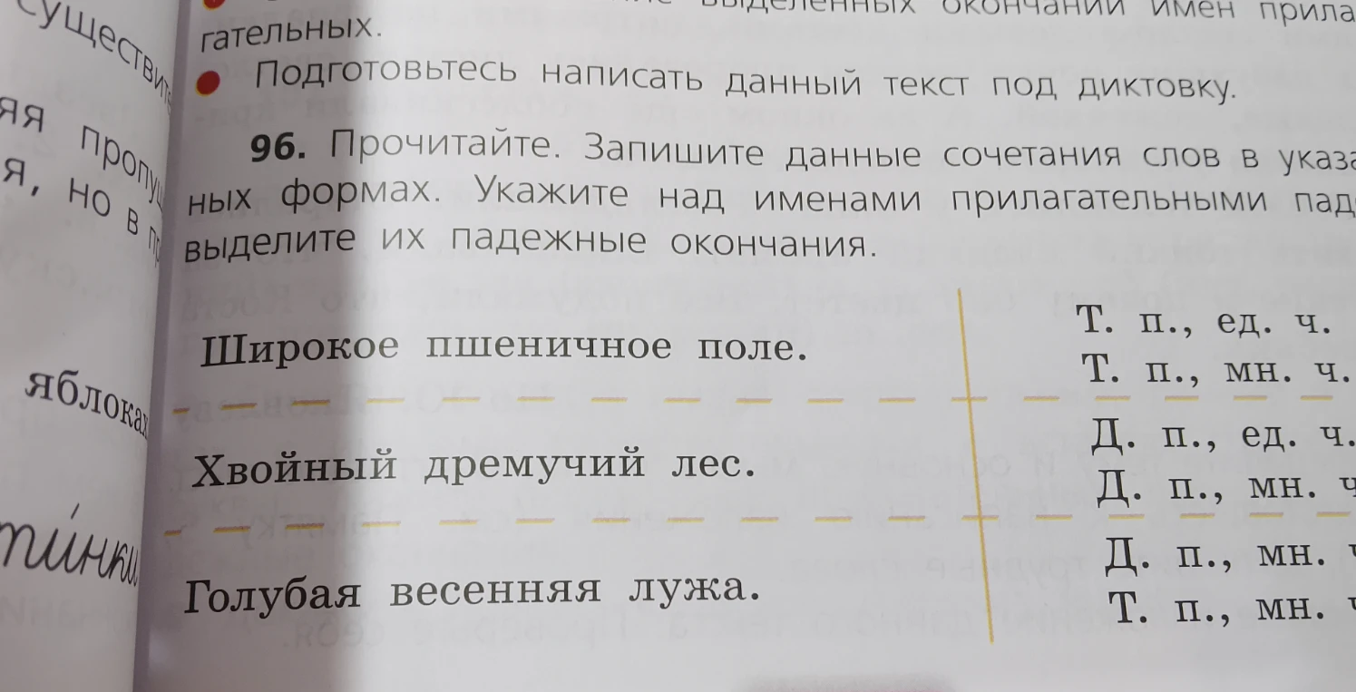 96. Прочитайте. Запишите данные сочетания слов в указанных формах. Укажите над именами прилагательными падеж, выделите их падежные окончания.