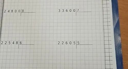 Выполните деление столбиком: 24800:8, 33600:7, 22548:6, 22605:5