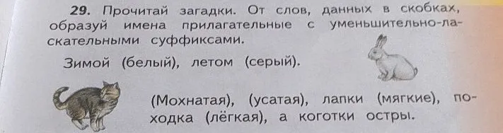 Прочитай загадки. От слов, данных в скобках, образуй имена прилагательные с уменьшительно-ласкательными суффиксами.