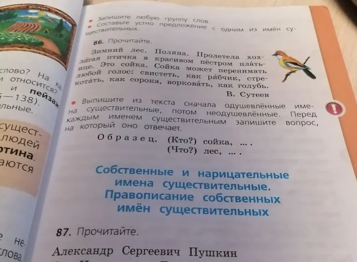 Выпишите из текста сначала одушевлённые имена существительные, потом неодушевлённые.