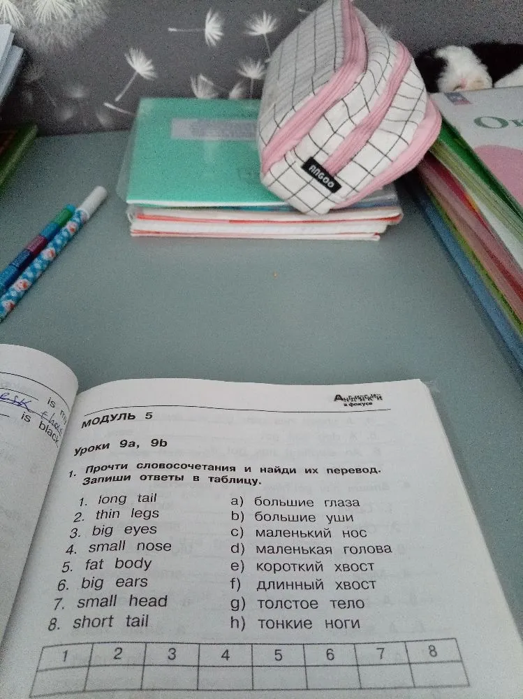 Прочти словосочетания и найди их перевод. Запиши ответы в таблицу.