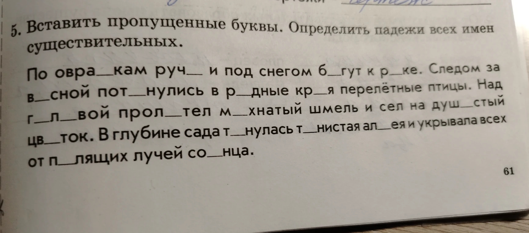 Вставить пропущенные буквы. Определить падежи всех имен существительных.