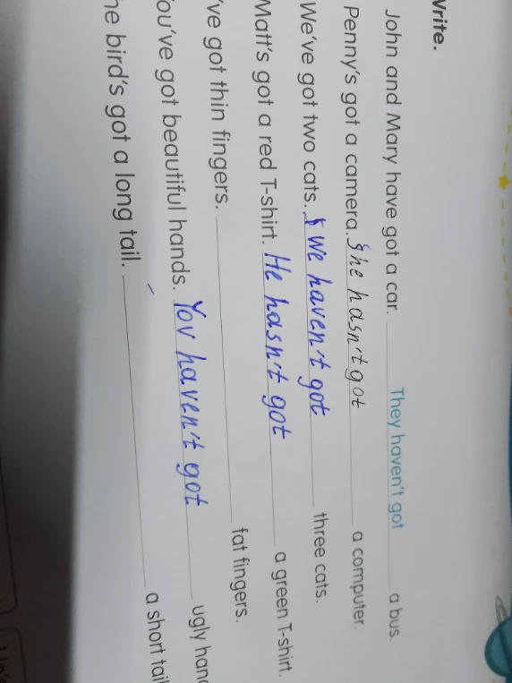 Напишите отрицательные предложения с конструкцией have got / hasn't got на основе предложенных образцов.