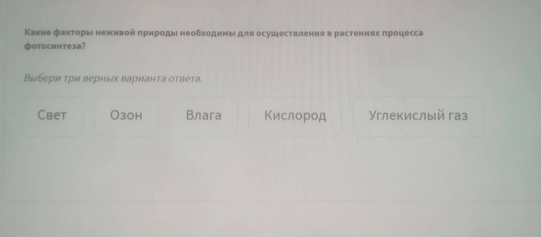 Какие факторы неживой природы необходимы для осуществления в растениях процесса фотосинтеза?