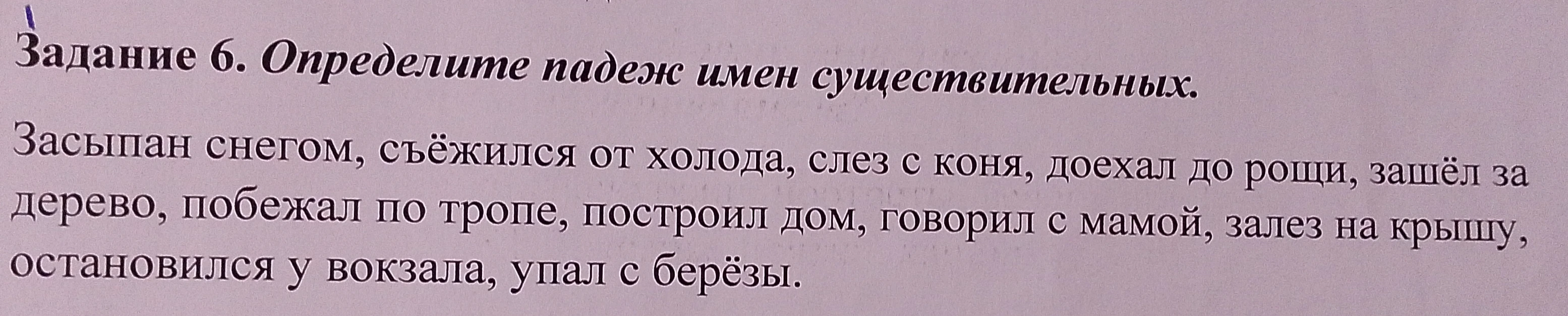 Определите падеж имен существительных.