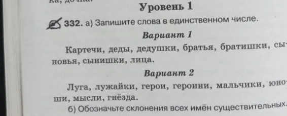Запишите слова в единственном числе. Обозначьте склонения всех имён существительных.